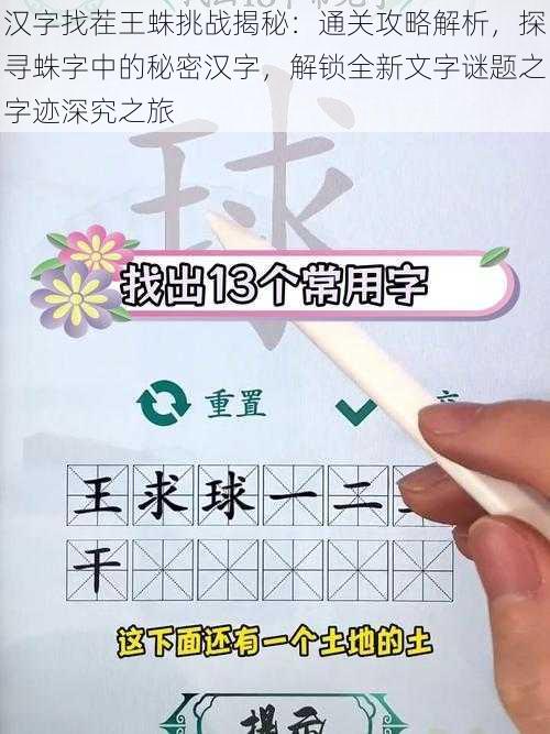 汉字找茬王蛛挑战揭秘：通关攻略解析，探寻蛛字中的秘密汉字，解锁全新文字谜题之字迹深究之旅