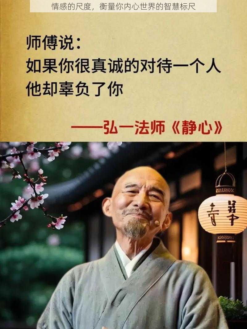 情感的尺度，衡量你内心世界的智慧标尺