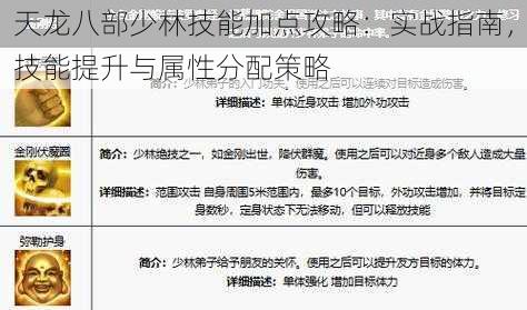 天龙八部少林技能加点攻略：实战指南，技能提升与属性分配策略