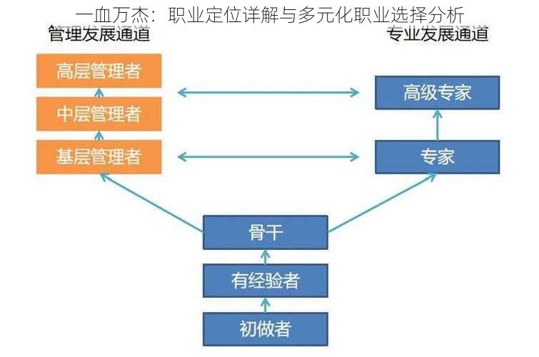 一血万杰：职业定位详解与多元化职业选择分析