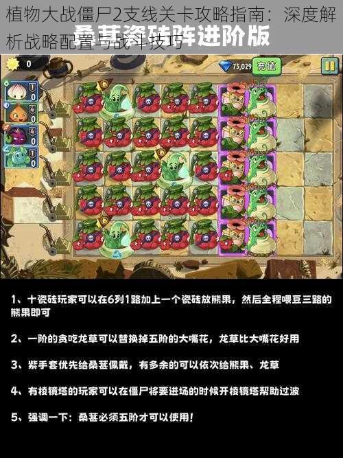 植物大战僵尸2支线关卡攻略指南：深度解析战略配置与战斗技巧