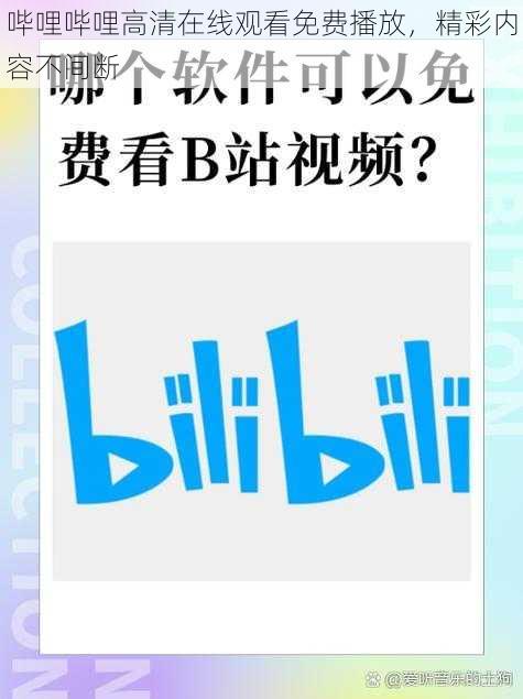 哔哩哔哩高清在线观看免费播放，精彩内容不间断