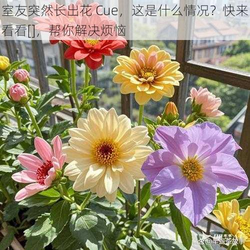 室友突然长出花 Cue，这是什么情况？快来看看[]，帮你解决烦恼