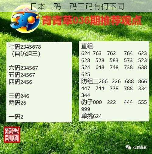 日本一码二码三码有何不同