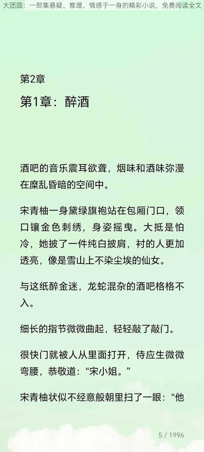 大团圆：一部集悬疑、推理、情感于一身的精彩小说，免费阅读全文