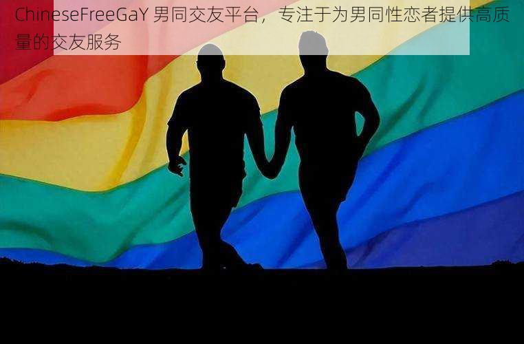 ChineseFreeGaY 男同交友平台，专注于为男同性恋者提供高质量的交友服务