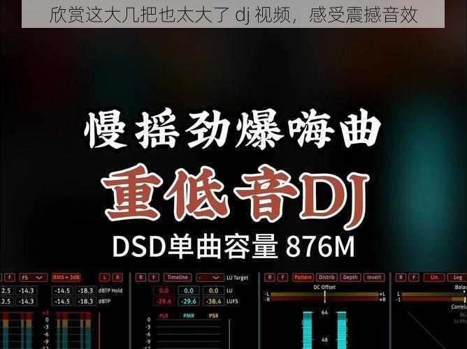 欣赏这大几把也太大了 dj 视频，感受震撼音效