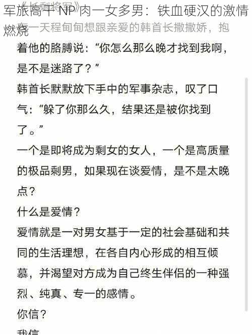 军旅高干 NP 肉一女多男：铁血硬汉的激情燃烧