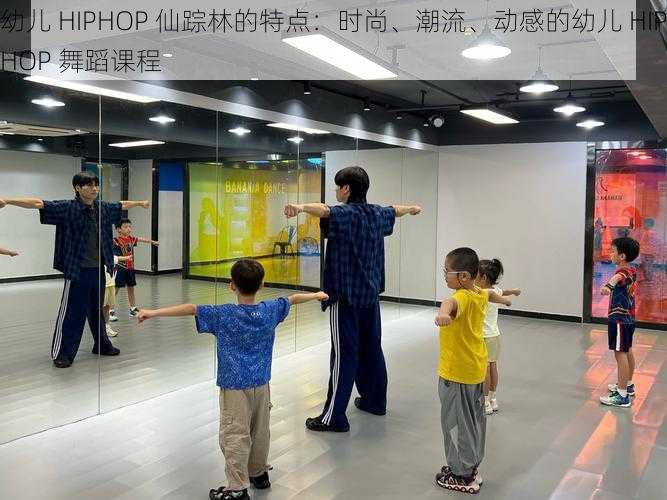 幼儿 HIPHOP 仙踪林的特点：时尚、潮流、动感的幼儿 HIPHOP 舞蹈课程