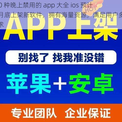 100 种晚上禁用的 app 大全 ios 预计 7 月底上架新软件，拥有海量资源，满足用户多样需求