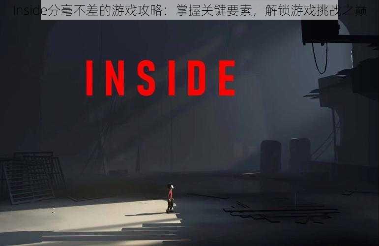 Inside分毫不差的游戏攻略：掌握关键要素，解锁游戏挑战之巅