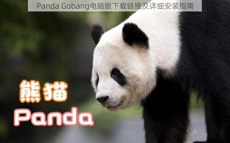 Panda Gobang电脑版下载链接及详细安装指南