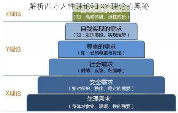 解析西方人性理论和 XY 理论的奥秘