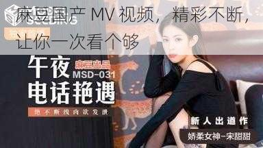 麻豆国产 MV 视频，精彩不断，让你一次看个够