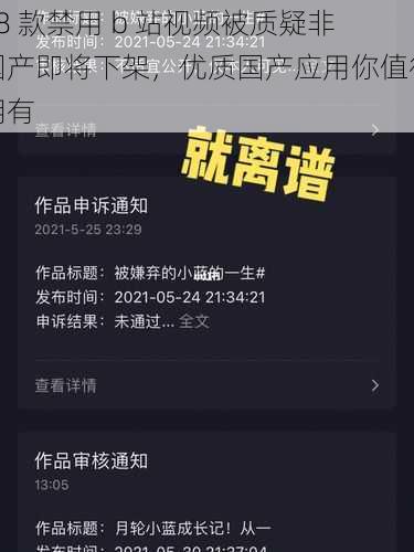 18 款禁用 b 站视频被质疑非国产即将下架，优质国产应用你值得拥有