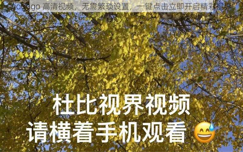 gogogo 高清视频，无需繁琐设置，一键点击立即开启精彩视界