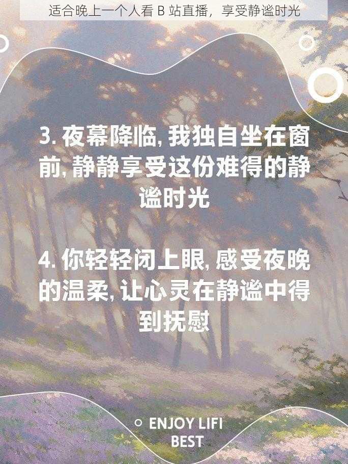 适合晚上一个人看 B 站直播，享受静谧时光