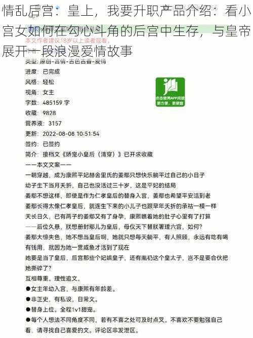 情乱后宫：皇上，我要升职产品介绍：看小宫女如何在勾心斗角的后宫中生存，与皇帝展开一段浪漫爱情故事