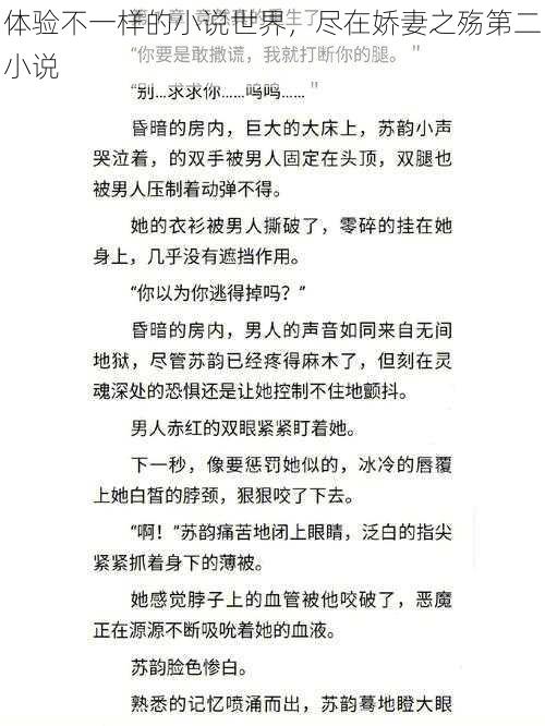 体验不一样的小说世界，尽在娇妻之殇第二小说