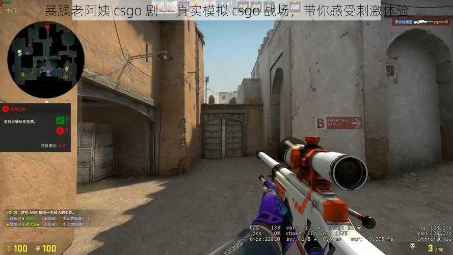 暴躁老阿姨 csgo 剧——真实模拟 csgo 战场，带你感受刺激体验