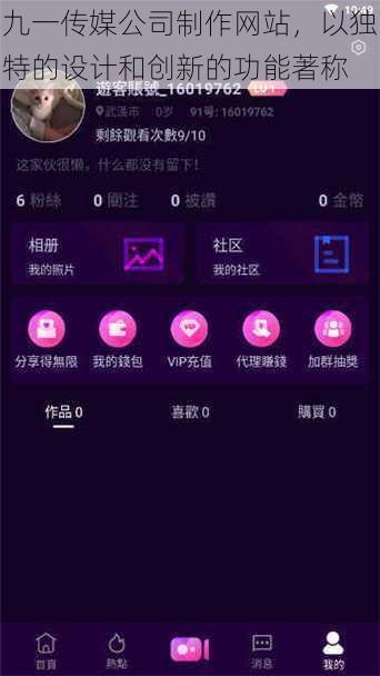 九一传媒公司制作网站，以独特的设计和创新的功能著称