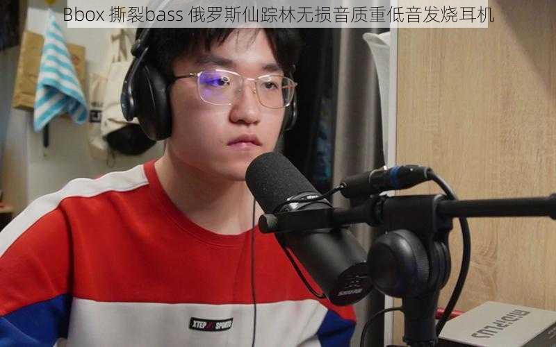 Bbox 撕裂bass 俄罗斯仙踪林无损音质重低音发烧耳机