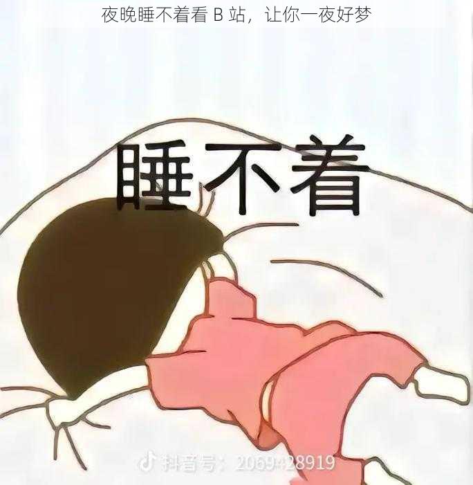 夜晚睡不着看 B 站，让你一夜好梦