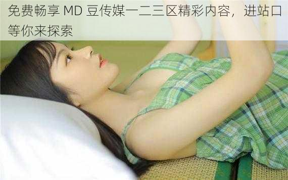 免费畅享 MD 豆传媒一二三区精彩内容，进站口等你来探索