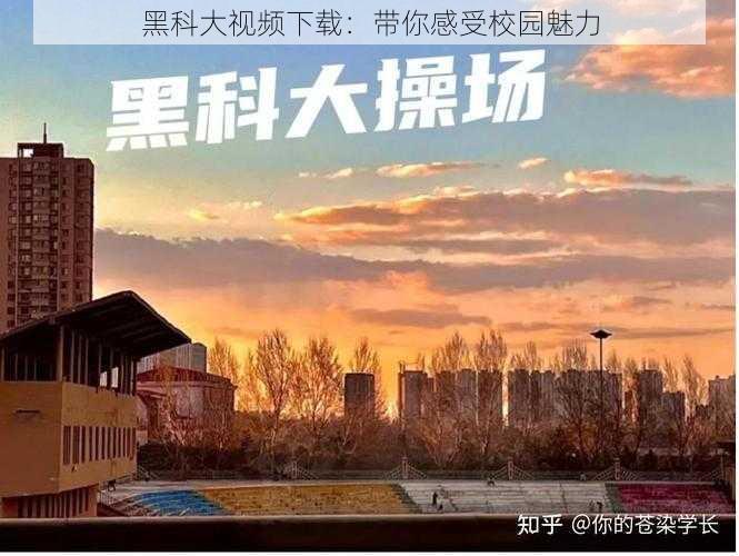 黑科大视频下载：带你感受校园魅力