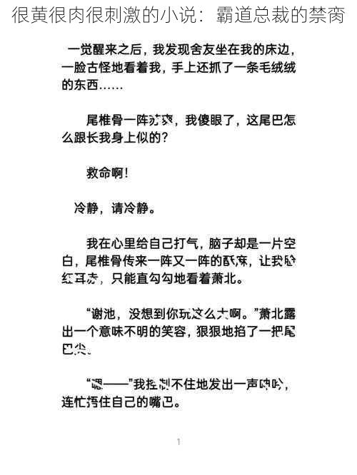 很黄很肉很刺激的小说：霸道总裁的禁脔