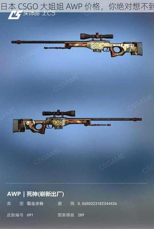 日本 CSGO 大姐姐 AWP 价格，你绝对想不到