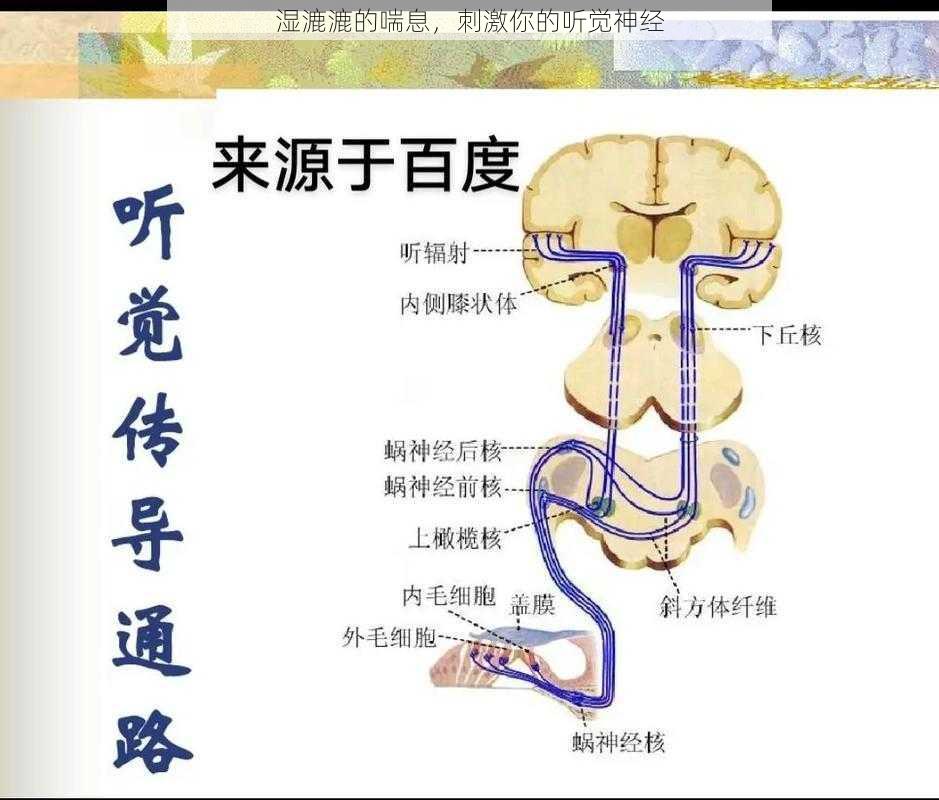 湿漉漉的喘息，刺激你的听觉神经