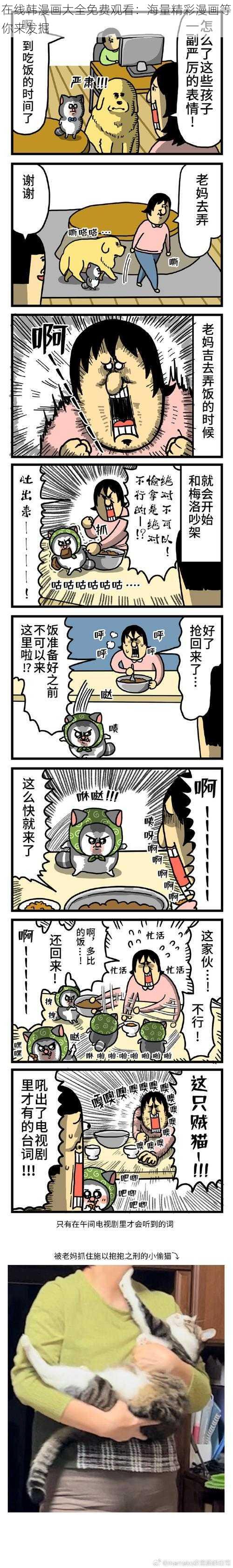 在线韩漫画大全免费观看：海量精彩漫画等你来发掘