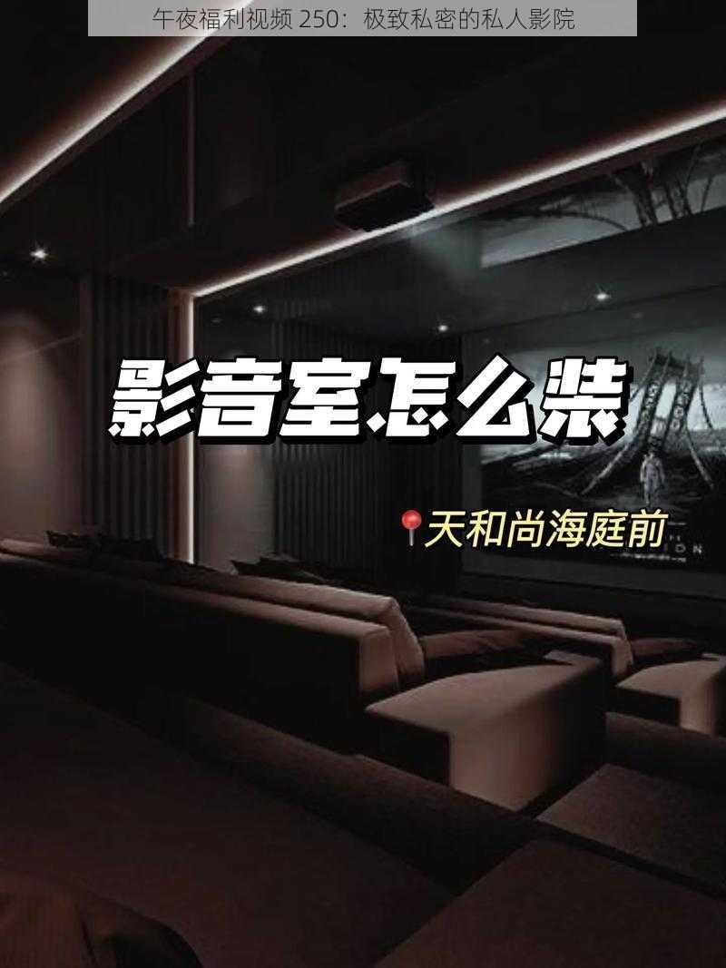 午夜福利视频 250：极致私密的私人影院