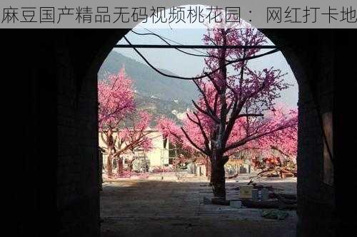 麻豆国产精品无码视频桃花园 ：网红打卡地