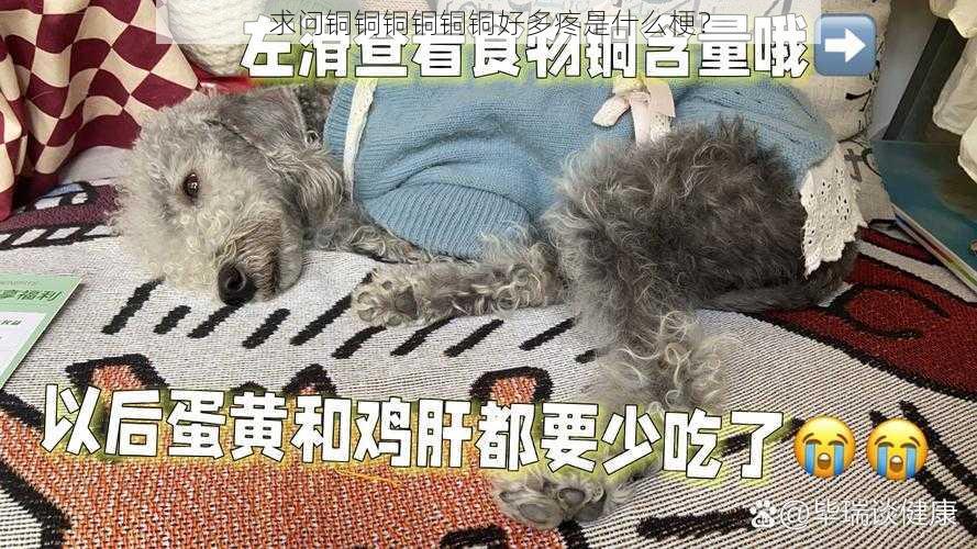 求问铜铜铜铜铜铜好多疼是什么梗？