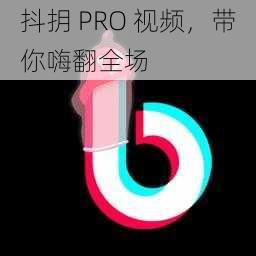 抖抈 PRO 视频，带你嗨翻全场