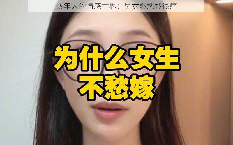 成年人的情感世界：男女愁愁愁很痛