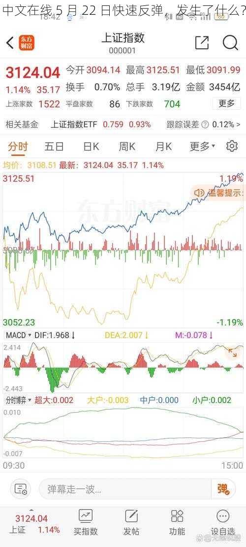 中文在线 5 月 22 日快速反弹，发生了什么？