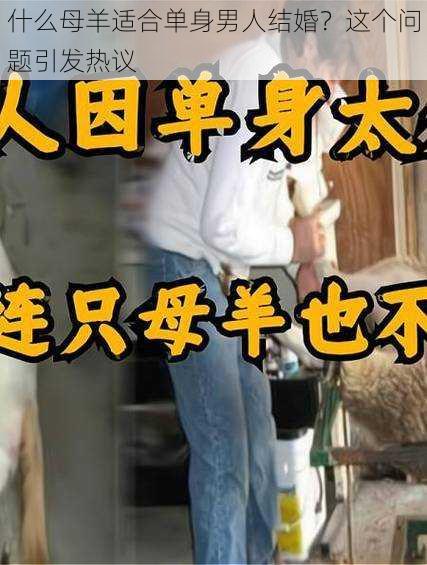 什么母羊适合单身男人结婚？这个问题引发热议