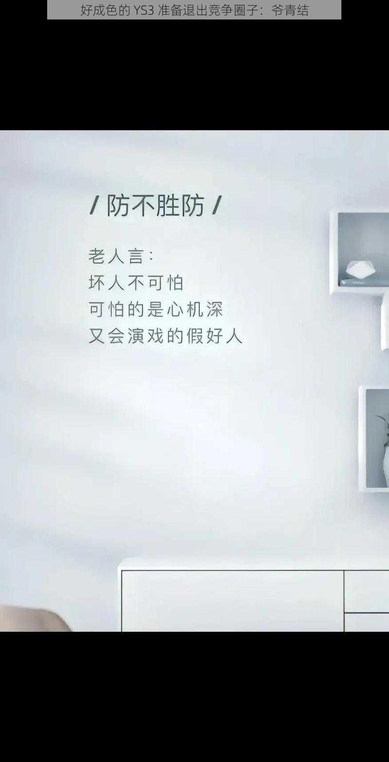 好成色的 YS3 准备退出竞争圈子：爷青结