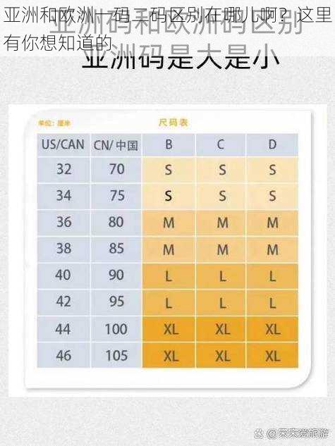 亚洲和欧洲一码二码区别在哪儿啊？这里有你想知道的