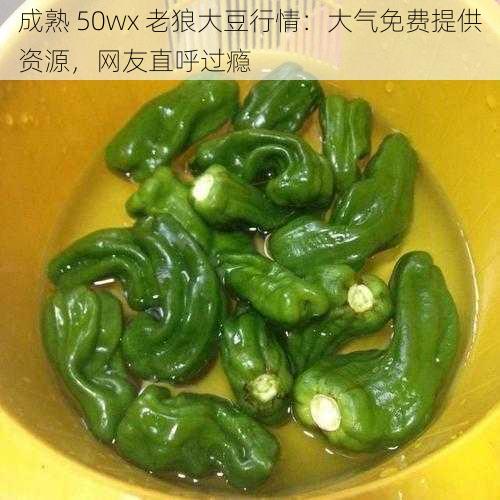 成熟 50wx 老狼大豆行情：大气免费提供资源，网友直呼过瘾