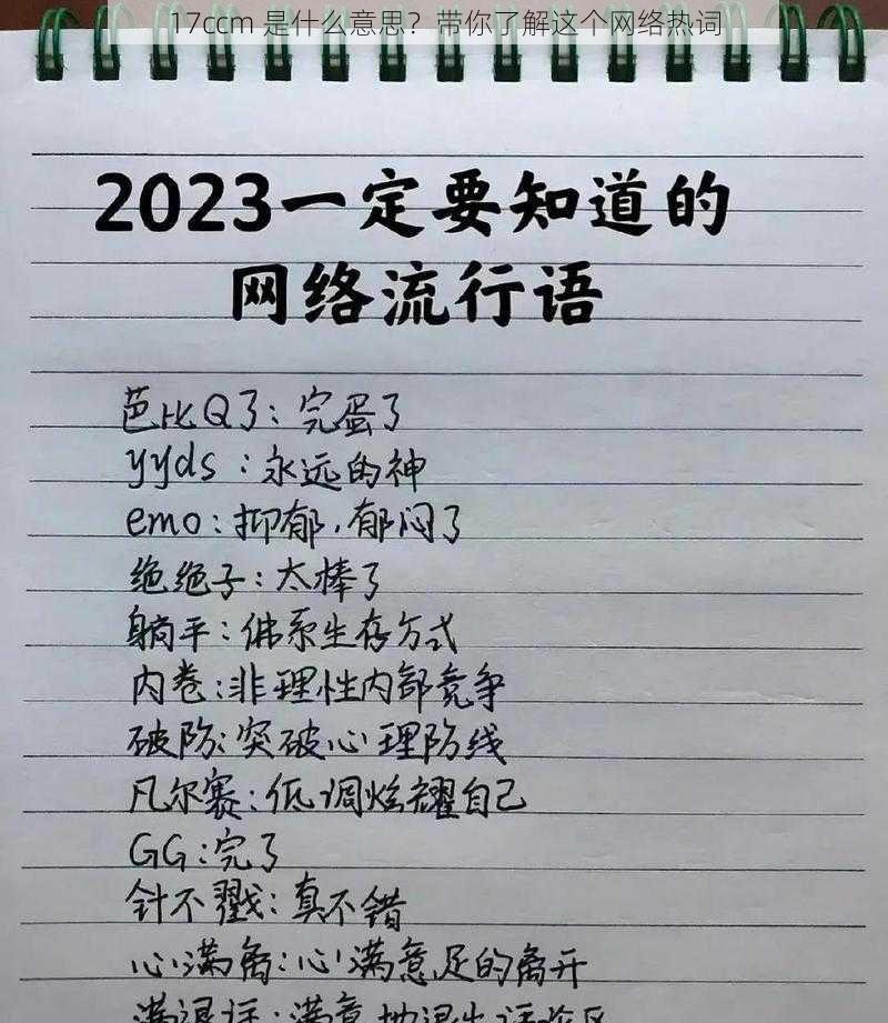 17ccm 是什么意思？带你了解这个网络热词