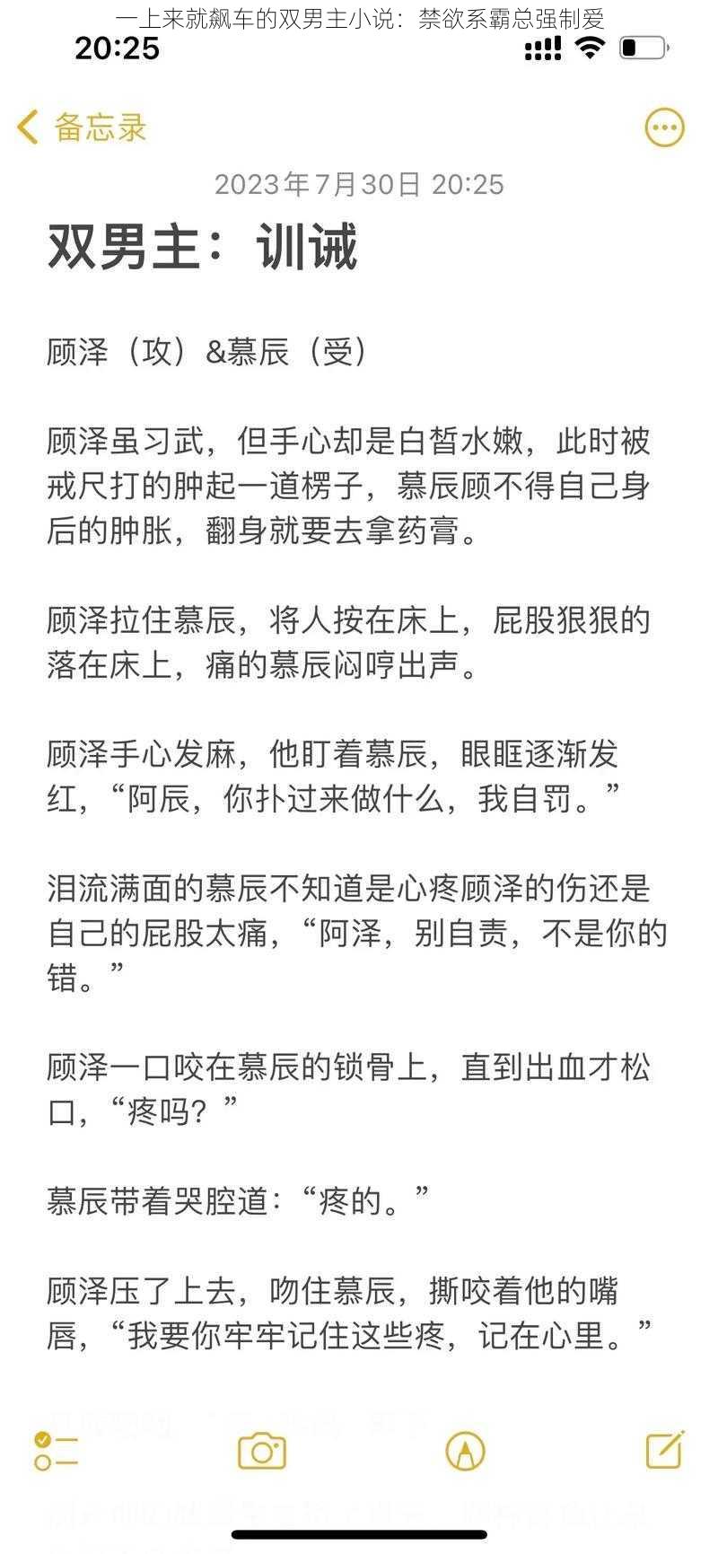 一上来就飙车的双男主小说：禁欲系霸总强制爱