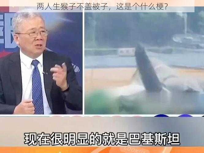 两人生猴子不盖被子，这是个什么梗？