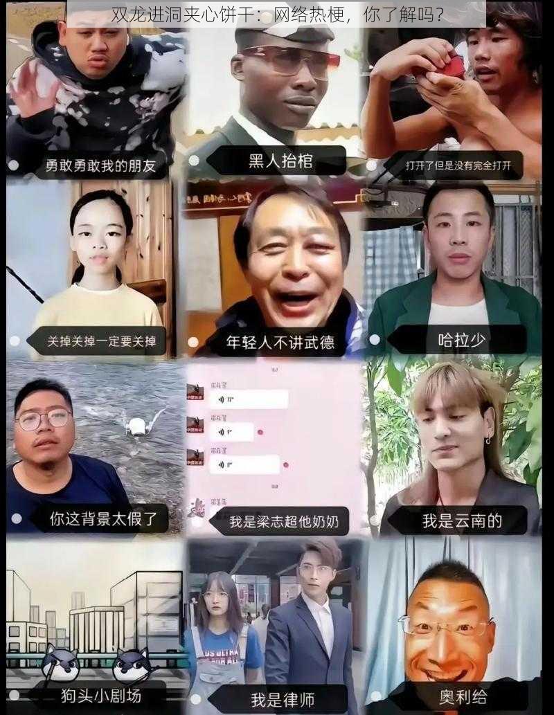 双龙进洞夹心饼干：网络热梗，你了解吗？